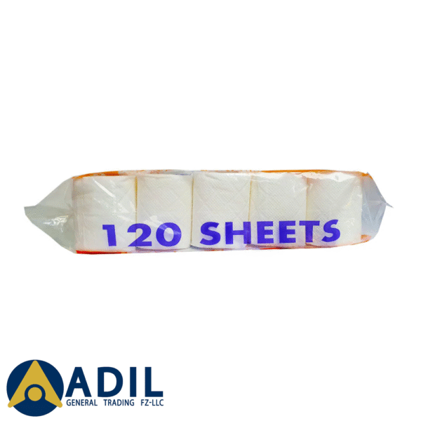 Soft N Hygienic Toilet Roll 120 Sheets 10X10 Pieces