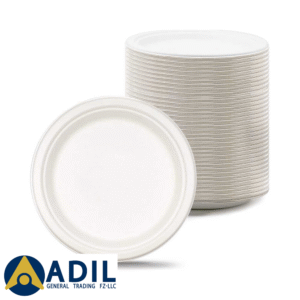 16 Bagasse Biodegradable Plate White 10Inch 500 Pieces