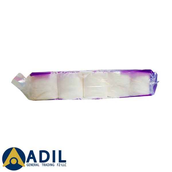 Soft N Hygienic Toilet Roll 400 Sheets 10X10 Pieces