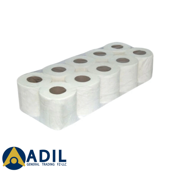 Toilet Roll 300 Sheets 10X10 Pieces