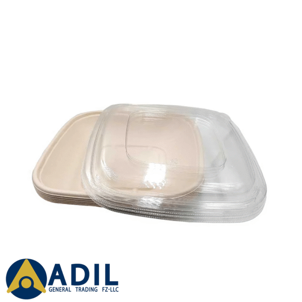 Bagasse Square Container 32 Oz Pet Lid 1X300 Pieces