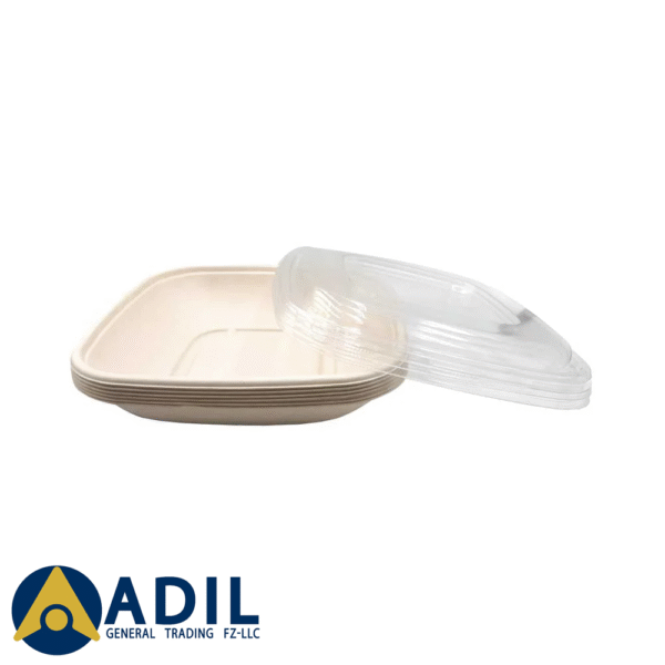 Bagasse Square Container 32 Oz Pet Lid 1X300 Pieces